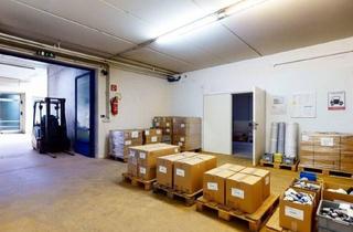 Lager mieten in 9020 Klagenfurt, Großzügige Hallenteilfläche im Untergeschoss mit Vielseitigem Nutzungspotenzial