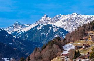 Wohnung kaufen in Bärgerstraße 57/W 2, 6781 Bartholomäberg, Kleines Refugium Inmitten der Natur - ihr Rückzugsort in den Bergen mit Ferienwohnsitz