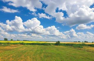 Gewerbeimmobilie kaufen in 2422 Pama, Ertragreiche landwirtschaftliche Nutzfläche