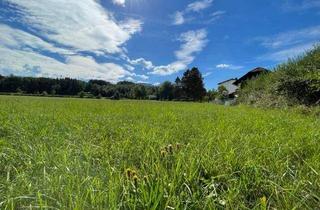 Wohnung kaufen in Obere Walserbergerstraße 8, Top 1, 5071 Wals, Wohnbauförderung möglich! Ökologisch nachhaltige 5 Zimmer Gartenwohnung in Wals bei Salzburg