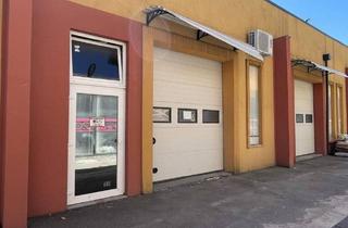 Büro zu mieten in 2601 Sollenau, PROVISIONSFREI!!! Schöne große Halle, Lager, Werkstatt am Betriebsgelände Areal200 in Sollenau E2, E3