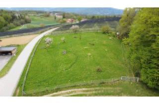Gewerbeimmobilie kaufen in 8181 Sankt Ruprecht an der Raab, Wiese mit ca. 4.358 m² – Ruhige Lage für Landwirte, Naturfreunde & Selbstnutzer