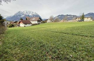 Grundstück zu kaufen in 8952 Irdning, großzügiges Grundstück in Traumlage, teilbar