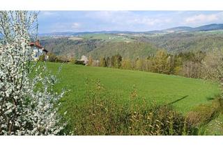 Grundstück zu kaufen in 4091 Vichtenstein, 2 Baugrundstücke in traumhafter Aussichtslage