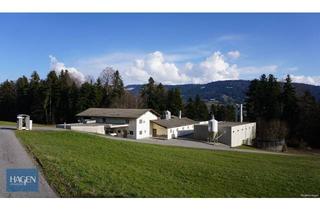 Gewerbeimmobilie kaufen in Similisgschwend 212B, 6934 Sulzberg, Gewerbebetrieb "s'Wälder Hennele in Sulzberg zu verkaufen"