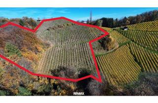 Gewerbeimmobilie kaufen in 8462 Gamlitz, Weingarten mit Landwirtschaft in Kranach, Gemeinde Gamlitz ( ZONE III )