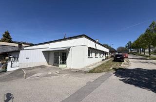 Haus kaufen in 3701 Großweikersdorf, Projektliegenschaft mit 380 m² Nutzfläche, Gewölbekeller & Ausbaupotenzial