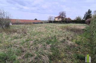 Grundstück zu kaufen in 2410 Hainburg an der Donau, Traumgrundstück in Hainburg/Donau