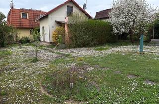 Immobilie mieten in Atzgersdorferstraße 171, 1230 Wien, Garteln Sie gerne?