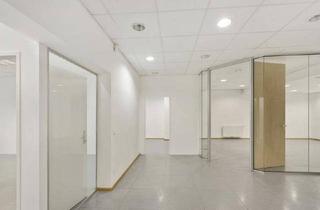 Büro zu mieten in Seegasse, 1090 Wien, Modernes klimatisiertes Büro im Servitenviertel