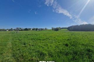 Grundstück zu kaufen in 4971 Aurolzmünster, Landwirtschaftlicher Nutzgrund