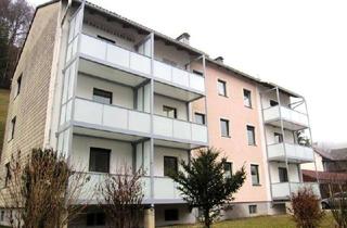 Wohnung mieten in Kirchengasse, 4460 Laussa, Laussa I - Whg. Nr. I/1/5