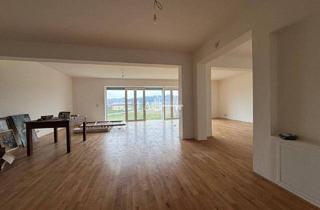 Büro zu mieten in 4407 Dietach, Erstbezug Büro/Praxis 2OG in Top Lage - 100m² Ideal für Ihr Business!