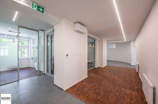 Büro zu mieten in Mariahilfer Straße, 1060 Wien, Schmalzhofgasse 6 - gesamte Etage mieten - generalsanierte Büroeinheit nahe Mariahilfer Straße, Westbahnhof