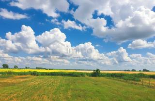 Grundstück zu kaufen in Parndorf, Bruck An Der Leitha, Neusiedl Am See, 2422 Pama, Ertragreiche Landwirtschaftliche Nutzfläche