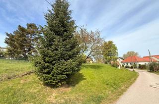 Grundstück zu kaufen in Flachberg 23, 3004 Riederberg, Baugrundstück Bauklasse Ii Ideal Für den Bau eines Tinyhous