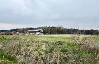 Grundstück zu kaufen in 4621 Schnarrndorf, Gewerbegrundstück Direkt an der a1 in 4621 Schnarrndorf - 18.957 m² Top-Lage zum Kauf!
