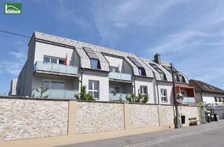 Wohnung kaufen in 3500 Krems an der Donau, Investoren aufgepasst - Anlegerwohnung (Nettopreis) bis 2028 vermietet - Süd-Garten mit "Badeteich" und Tiefgarage in begehrter Winzer Lage