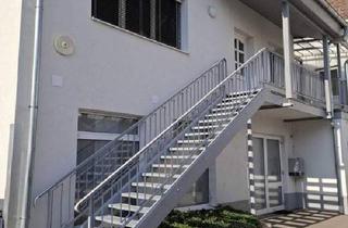 Wohnung mieten in 2020 Hollabrunn, Gemütliche 1 Zimmer Wohnung im Zentrum