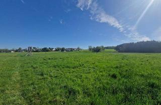 Grundstück zu kaufen in 4971 Aurolzmünster, Landwirtschaftlicher Nutzgrund
