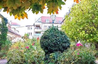 Gewerbeimmobilie kaufen in 2500 Baden, Topsaniert - Geschäftslokal/Praxis/Büro/Atelier mit Freifläche