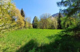 Grundstück zu kaufen in 4644 Scharnstein, Traumhaftes, sonniges Grundstück(e) mit altem Baumbestand mitten im Almtal, in erhöhter, idyllischer Natur-Ruhelage!