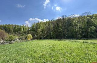 Grundstück zu kaufen in Reichergasse, 3400 Klosterneuburg, Sonniges und ebenes Baugrundstück in Klosterneuburg-Weidling
