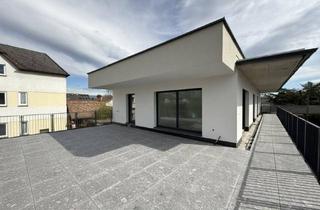 Penthouse kaufen in 8041 Graz, MUR³ Living - Exklusives Penthouse - 4 Zimmer Terrassen Oase mit luxuriöser Ausstattung!