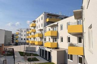 Wohnung mieten in Stadionstraße, 2700 Wiener Neustadt, Neubau-Erstbezug im „ein viertel grün“ – hochwertig wohnen mit Balkon & Tiefgarage in Wr. Neustadt