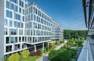 Gewerbeimmobilie kaufen in Letten Lettental 61, 7431 Sulzriegel, Savills