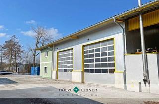 Gewerbeimmobilie mieten in 5202 Neumarkt am Wallersee, Betriebsobjekt mit Hallen-, Produktions- & Büroflächen zur Miete
