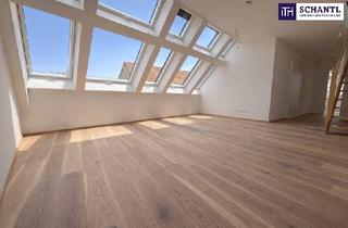 Maisonette kaufen in Doktor Karl Renner-Platz, 2514 Traiskirchen, *Frühjahrsaktion* Penthouse-Feeling im Neubau: Lichtdurchflutete 4-Zimmer-Maisonette mit außergewöhnlich großer Dachterrasse!