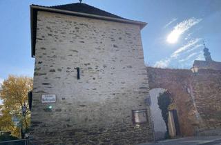 Wohnung mieten in Göttweigerhofgasse 7/6, 3500 Krems an der Donau, Göttweigerhofgasse 7/6