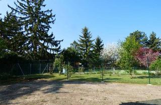 Wohnung kaufen in 2460 Bruck an der Leitha, ENERGIESPAREND SÜDTERRASSE EIGENGARTEN GRÜNBLICK