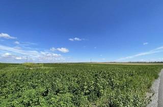 Grundstück zu kaufen in Hauptstraße, 2440 Moosbrunn, Rarität! Landwirtschaftliches Grundstück zwischen Moosbrunn und Gramatneusiedl- Ca. 41.000 m² Ackerfläche zu Verkaufen!