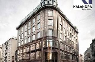 Büro zu mieten in Fleischmarkt, Rotenturmstrasse, 1010 Wien, 360 Tour / Büroflächen im Residenzpalast