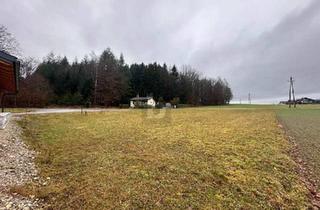 Grundstück zu kaufen in 5120 Haigermoos, Preisreduktion! BAUGRUND MIT WEITBLICK ? NATURNAH WOHNEN NAHE SALZBURG