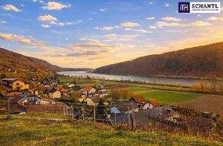 Grundstück zu kaufen in Rottenbergerstraße, 3681 Hofamt Priel, Schnell sein bei dem Preis! Seltenes Baugrundstück mit genialem Donau-Blick in ruhiger Lage: 2.168 m² für großzügiges Eigenheim, Mehrgenerationenwohnen oder Wohnen & Arbeiten auf einem Grundstück!