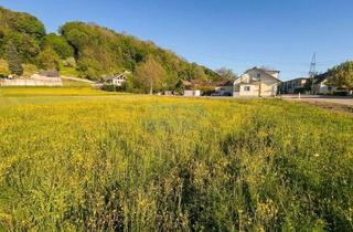 Grundstück zu kaufen in 4432 Ernsthofen, Ebene Parzelle in angenehmer Wohnlage – ohne Bauzwang