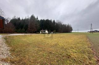 Grundstück zu kaufen in 5120 Sankt Pantaleon, Baugrund mit Weitblick ? Naturnah Wohnen Nahe Salzburg
