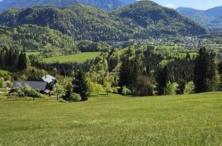 Immobilie kaufen in Gesäuse, 8933 Sankt Gallen, Uriger Bergbauernhof in Einzigartigen Absoltuten Alleinlage!