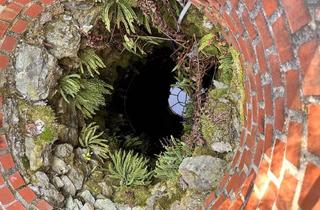 Haus kaufen in Gleinstätten, 8444 Sankt Andrä im Sausal, Südsteiermark - Unverbaubare Aussichtslage - Gemütliches Landhaus mit Viel Lw Fläche - die Neue Heimat Für ihre Alpakas oder Schafe