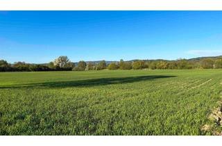 Gewerbeimmobilie kaufen in 4073 Wilhering, Land & Gut: 4 ha Feld in Wilhering