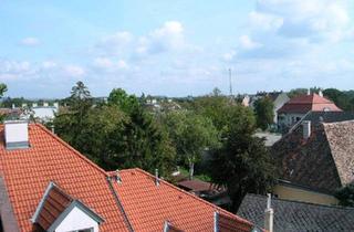Wohnung kaufen in 2000 Stockerau, Traumblick nach Greifenstein von Loggiawohnung mit Garage im Herzen von Stockerau