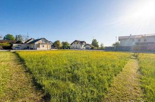 Grundstück zu kaufen in 4432 Ernsthofen, Sonniges Grundstück in angenehmer Wohnsiedlung ohne Bauzwang