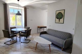 Wohnung mieten in 2500 Baden, 2 Zimmer Single Wohnung komplett neu.