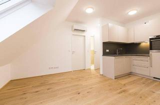 Wohnung mieten in Hetzendorfer Straße, 1130 Wien, Hetzendorfer Straße | Klimatisierte Zwei-Zimmer-Dachgeschoss Wohnung