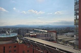 Wohnung mieten in Carl-Appel-Straße, 1100 Wien, Lichtdurchflutete 2-Zimmer-Wohnung mit Concierge & Fernblick in der Wienerberg City