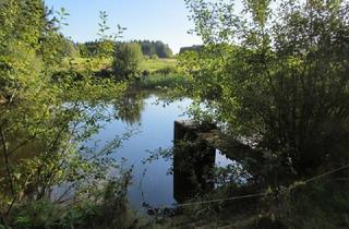 Grundstück zu kaufen in 3863 Reingers, *****Fischteiche im nördlichen Waldviertel*****