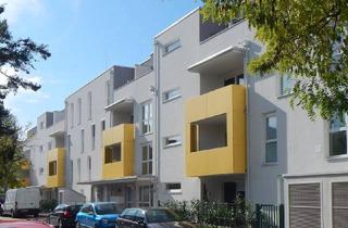 Wohnung mieten in Stadlgasse, 2700 Wiener Neustadt, Moderne, ostseitige Dachterrassenwohnung
